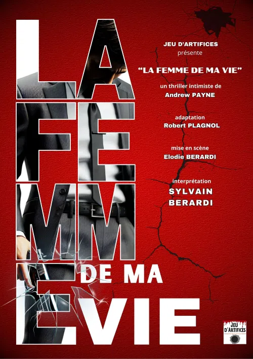 Affiche de La femme de ma vie
