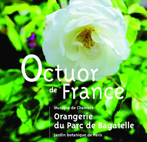 Affiche de Schubert - Dvorak - Blanc