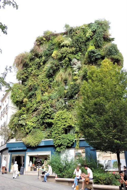 Le mur végétal