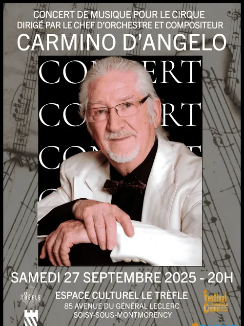 Affiche de Concert-Spectacle de Carmino d'Angelo