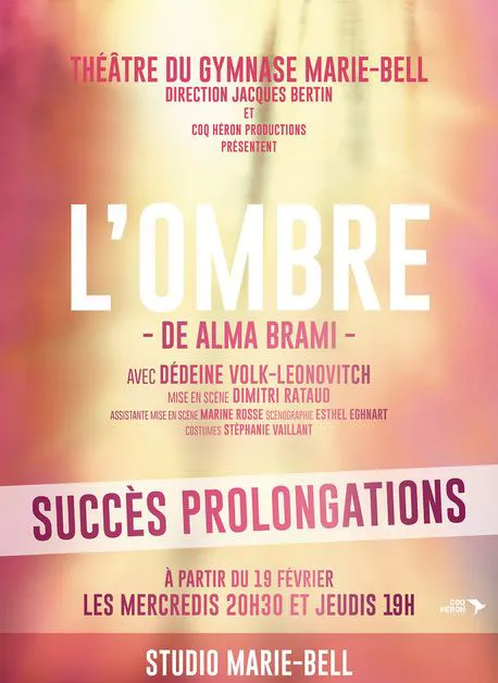 Affiche de L'Ombre