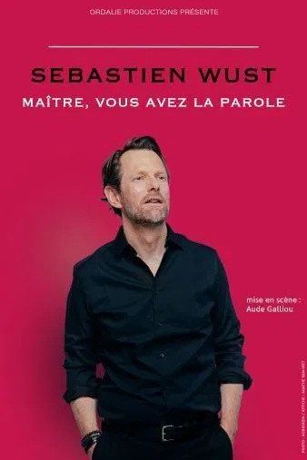Affiche de Sébastien Wust dans Maître, vous avez la parole