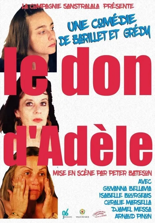 Affiche de Le don d'Adèle