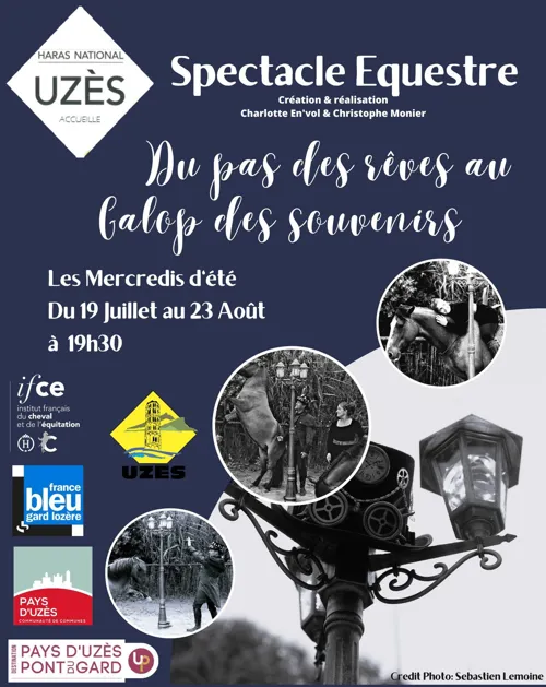 Affiche de Du pas des rêves au galop des souvenirs