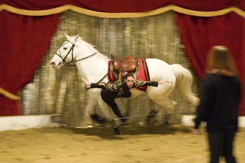 Photo 2 de Cirko Galop : Festival du Cirque et des Arts Équestres
