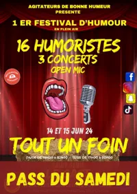 Festival Tout un foin | Pass samedi - 