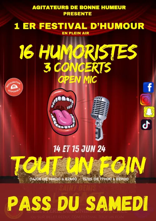 Affiche de Festival Tout un foin | Pass samedi