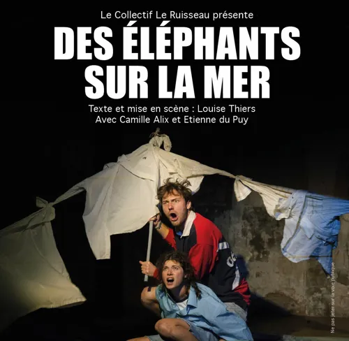 Affiche de Des éléphants sur la mer