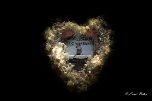 Photo 4 de Nez pour s'aimer