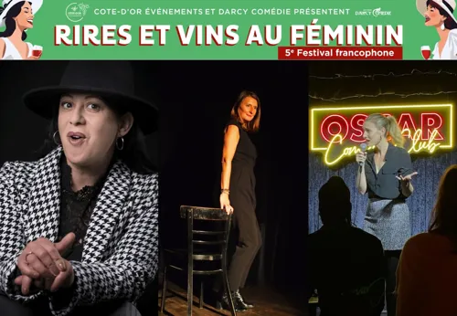 Affiche de J'ai des rides et je t'emmerde avec Bibia Dergham, Maud Mellé et Joelle Gewolb