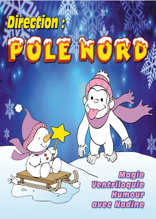 Affiche de Direction pôle nord