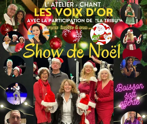 Affiche de Le Show de Noël