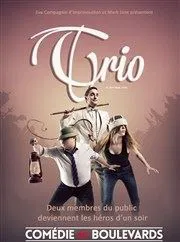 Affiche de Trio