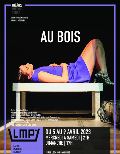 Affiche de Au bois
