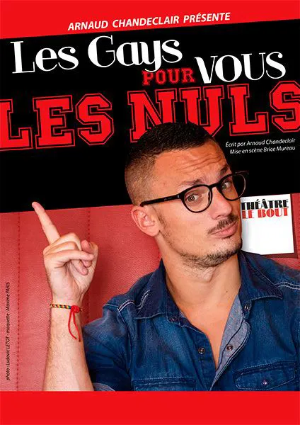 Affiche de Les gays pour vous les nuls