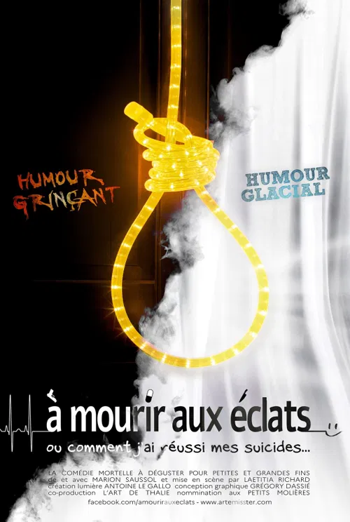 Affiche de A mourir aux éclats, ou comment j'ai réussi mes suicides...