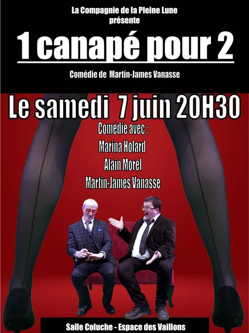 Affiche de Un canapé pour deux
