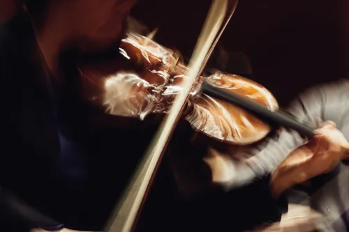 Affiche de Schubert op.100: Trio pour piano, violon et violoncelle