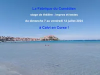 Stage théâtre impro été - 