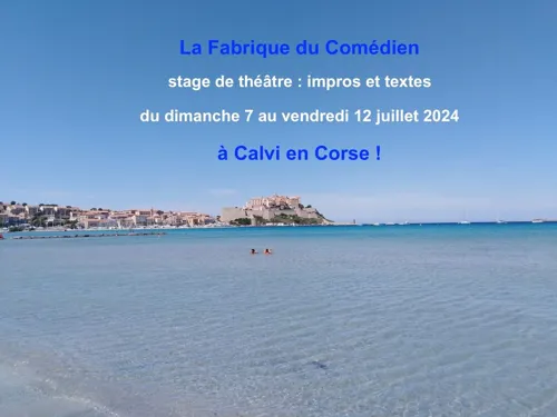Affiche de Stage théâtre impro été