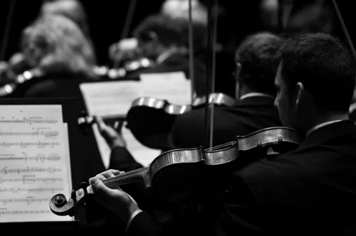 Affiche de Sérénades pour orchestre à cordes