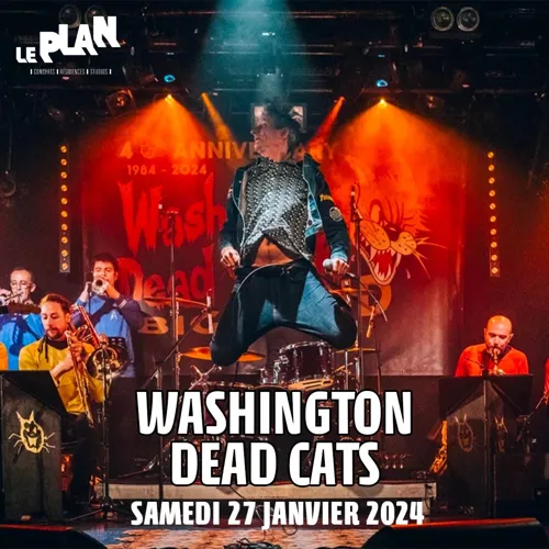 Affiche de Washington dead cats