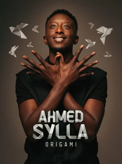 Affiche de Ahmed Sylla dans Origami