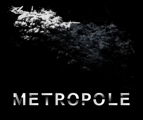 Affiche de Métropole