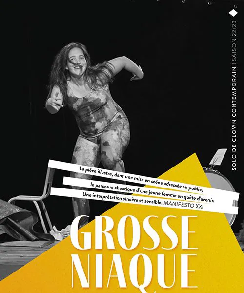 Affiche de Grosse niaque