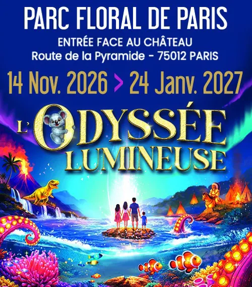Affiche de L'Odyssée Lumineuse