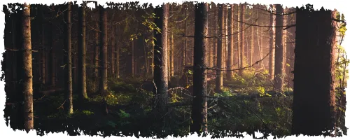 Affiche de Es War Einmal : Il était une fois Grimm