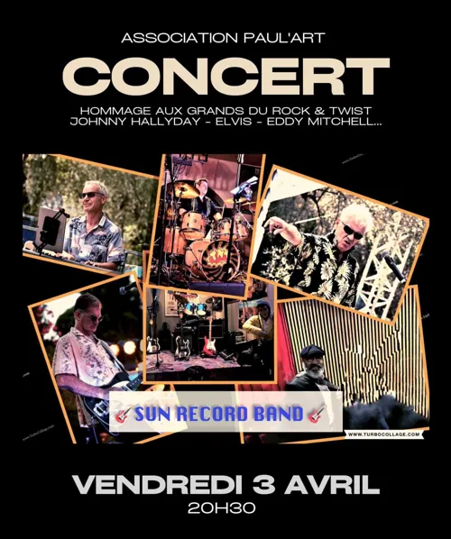 Affiche de Concert Hommage à Johnny Hallyday, Eddy Mitchell, Elvis, etc.