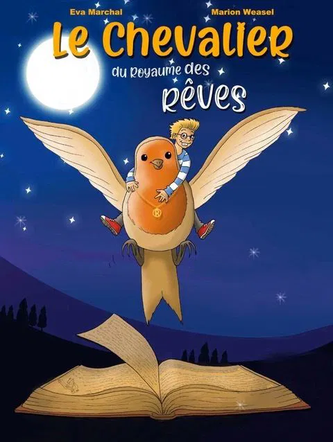 Affiche de Le chevalier du royaume des rêves