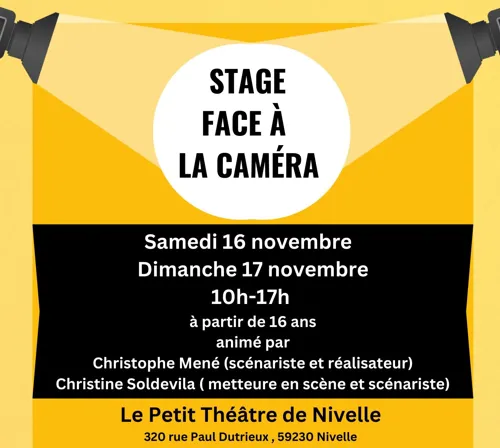 Affiche de Stage face à la caméra