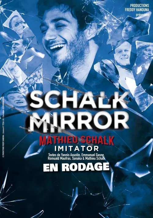 Affiche de Mathieu Schalk dans Schalk Mirror