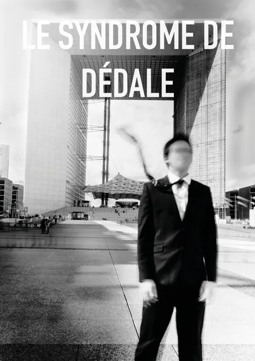Affiche de Le syndrome de Dédale