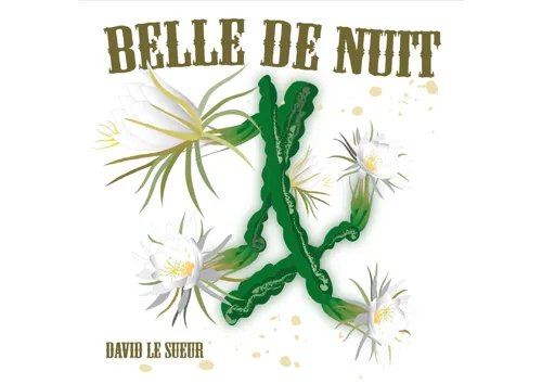 Affiche de David Le Sueur dans Belle de Nuit
