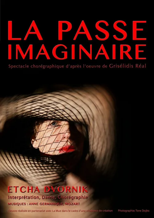Affiche de La passe imaginaire