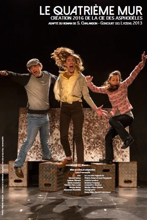 Affiche de Le quatrième mur