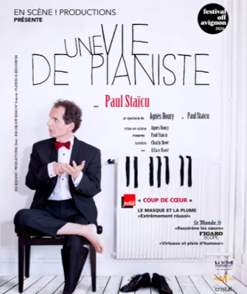 Affiche de Une vie de pianiste