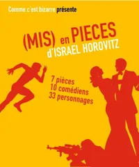 (Mis) en pièces - 