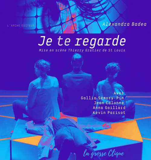 Affiche de Je te regarde