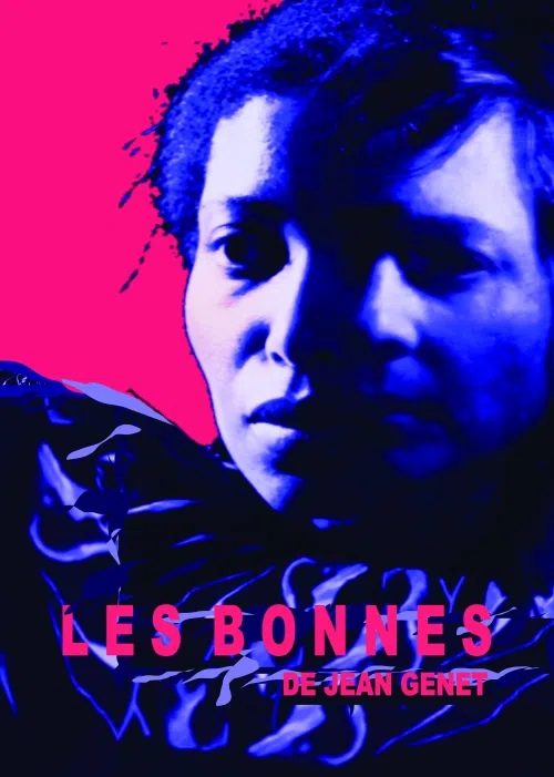 Affiche de Les bonnes