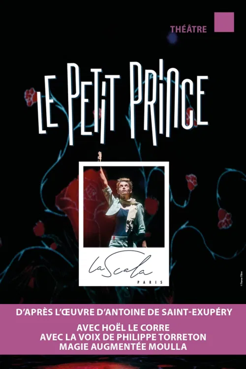 Affiche de Le Petit Prince