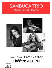 Sambuca trio : musiques du Brésil - 