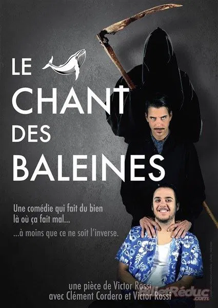 Affiche de Le Chant des Baleines