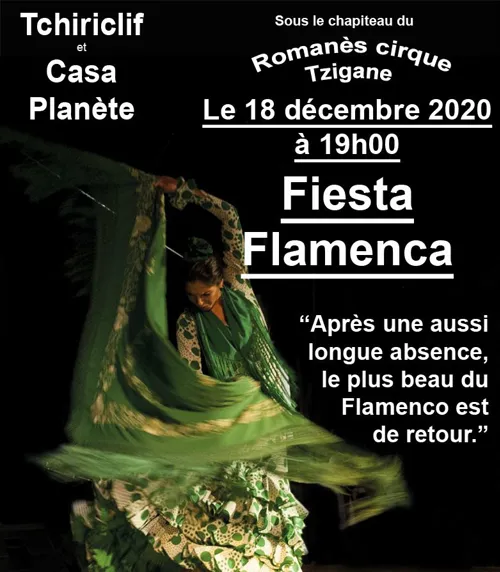 Affiche de Fiesta Flamenca