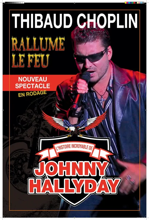 Affiche de Thibaud Choplin dans Thibaud Choplin rallume le feu