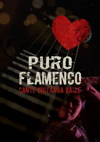 Puro Flamenco - 