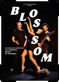 Affiche de Blossom